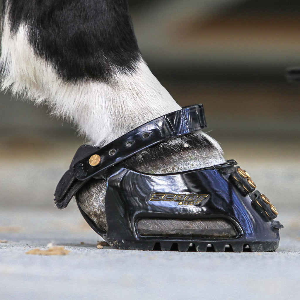 ScootBoot Classic
