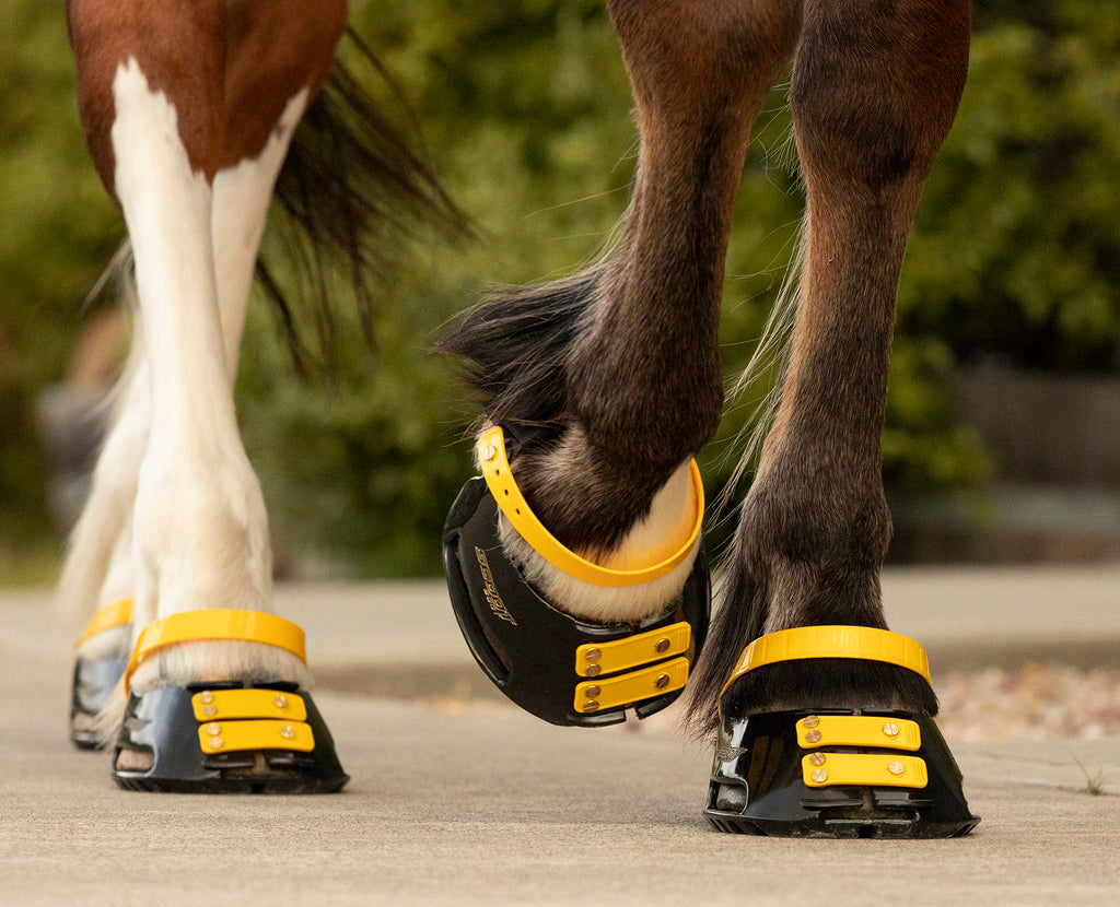 Correas de Cuartilla (Pastern Straps)