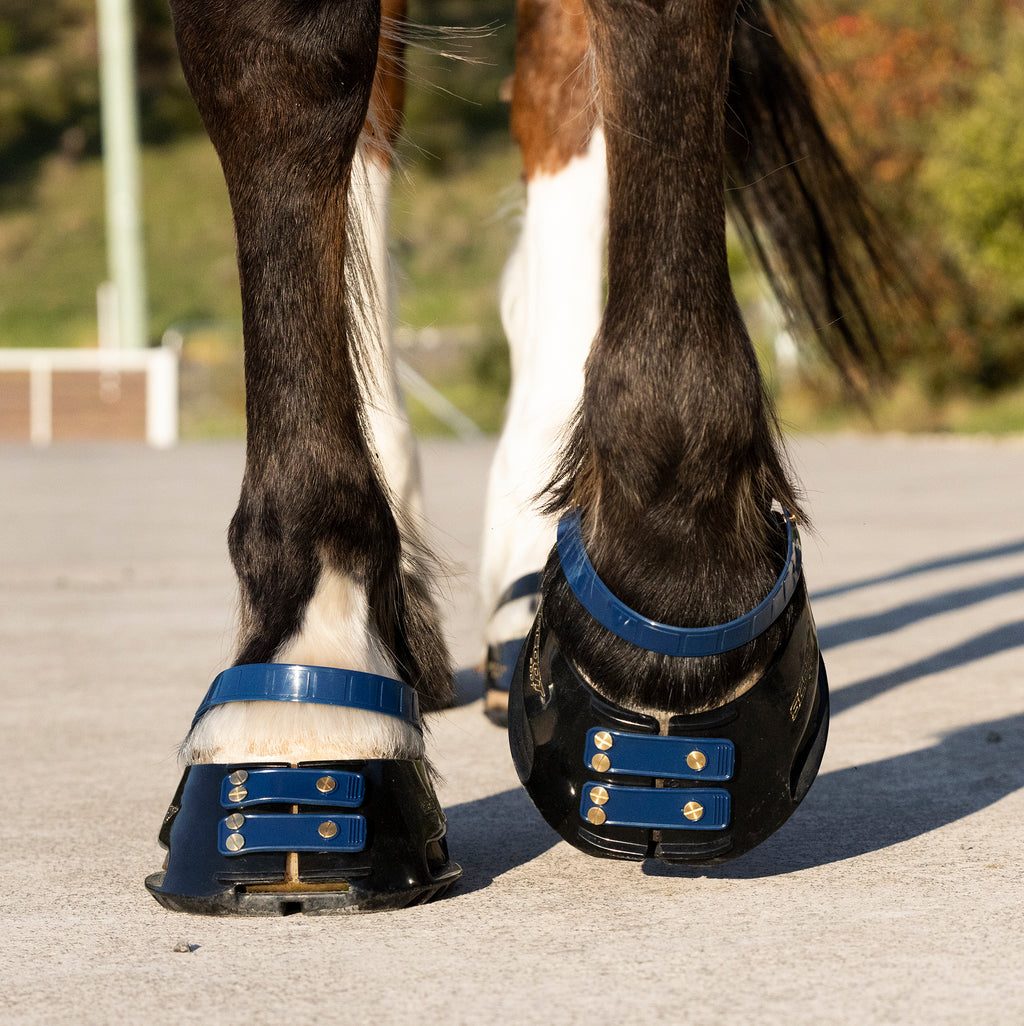 Correas de Cuartilla (Pastern Straps)
