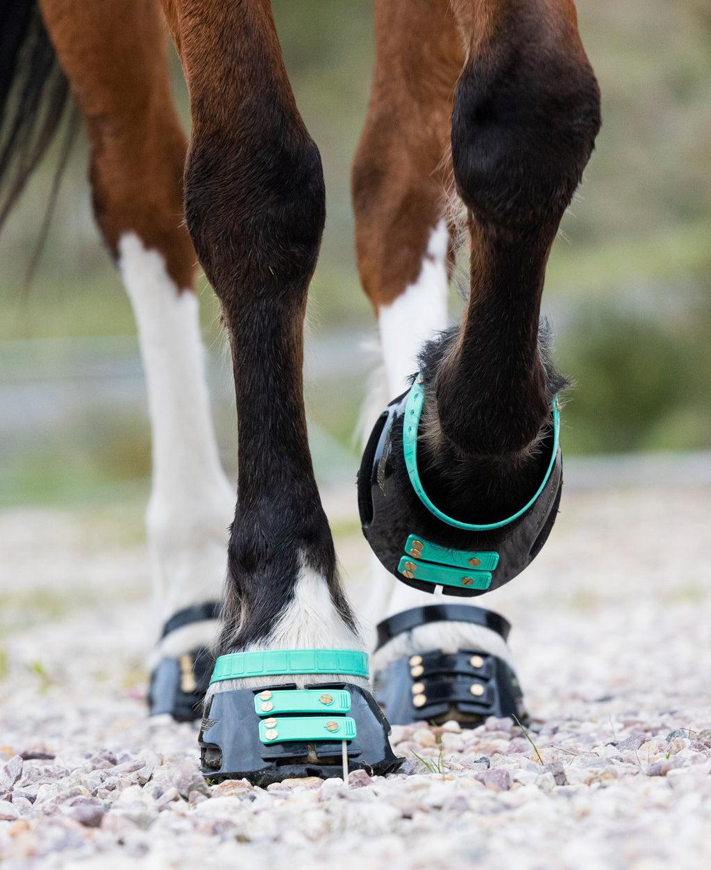 Correas de Cuartilla (Pastern Straps)