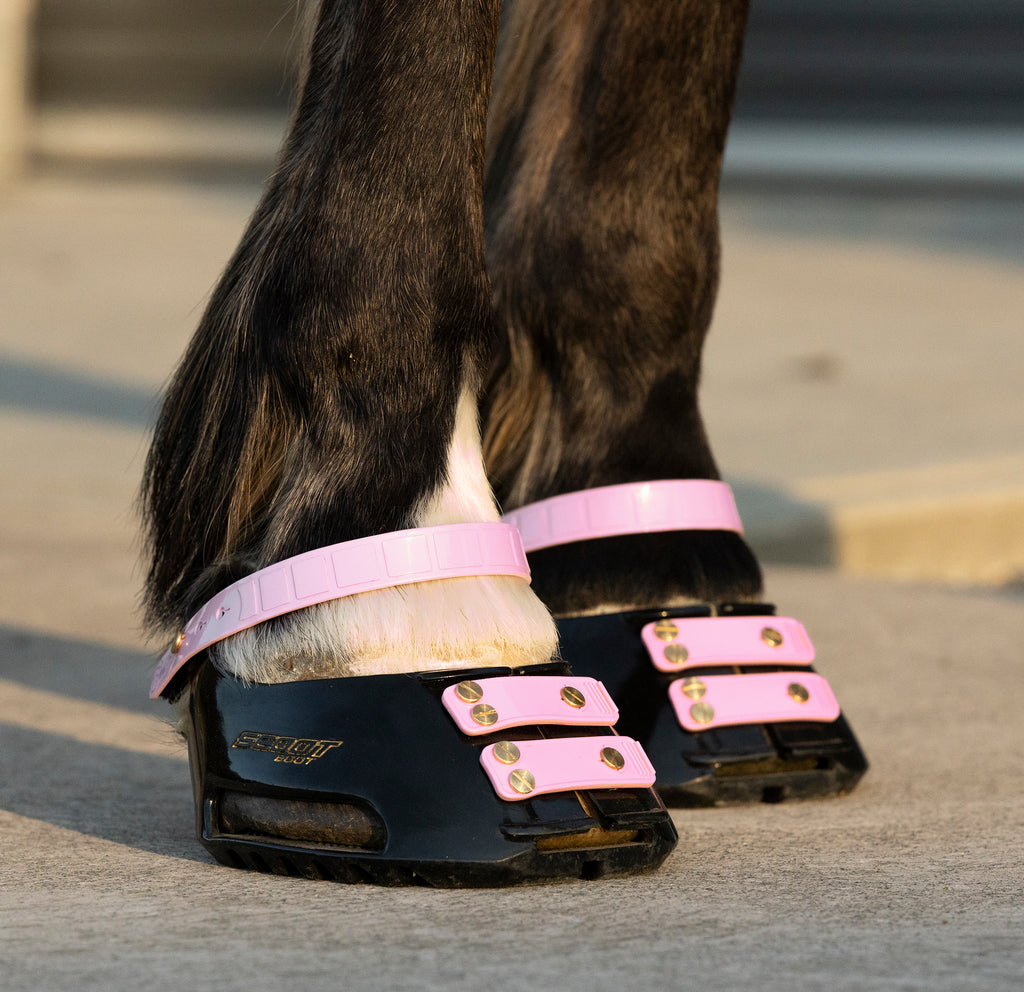 Correas de Cuartilla (Pastern Straps)