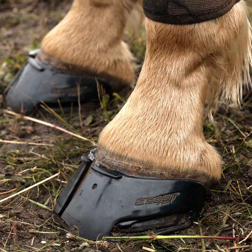 Scoot Boot Skins