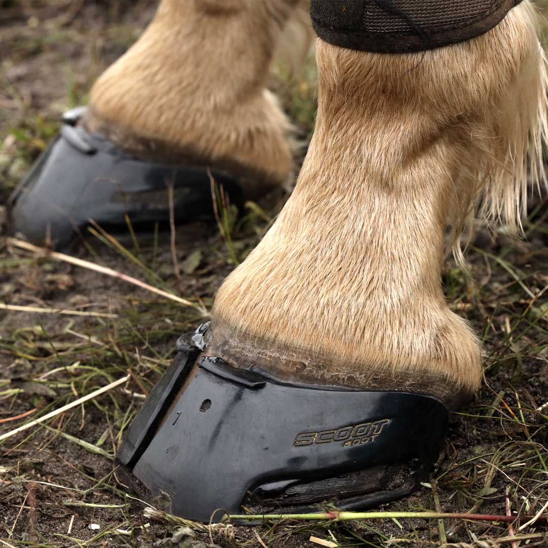 Scoot Boot Skins